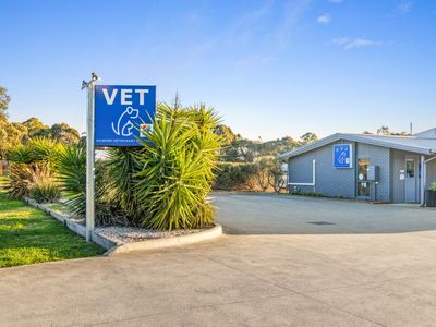 longstanding-small-animal-veterinary-practice-with-loyal-clientele-amp-modern-0