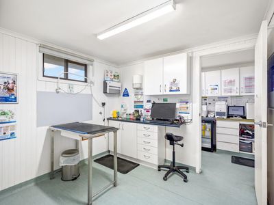 longstanding-small-animal-veterinary-practice-with-loyal-clientele-amp-modern-2