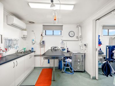 longstanding-small-animal-veterinary-practice-with-loyal-clientele-amp-modern-3