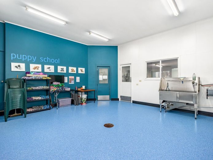 longstanding-small-animal-veterinary-practice-with-loyal-clientele-amp-modern-6