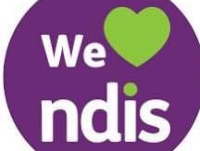 seeking-partners-investors-activity-care-services-fully-licensed-ndis-provider-0