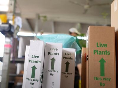 daleys-fruit-tree-nursery-8
