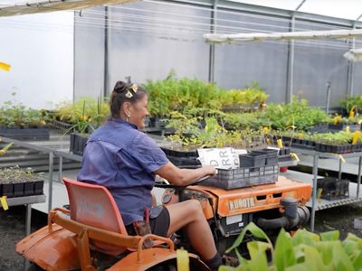 daleys-fruit-tree-nursery-5