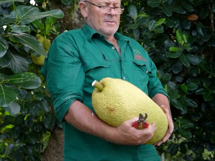 daleys-fruit-tree-nursery-3