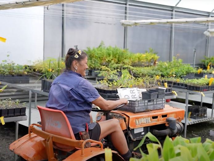 daleys-fruit-tree-nursery-5
