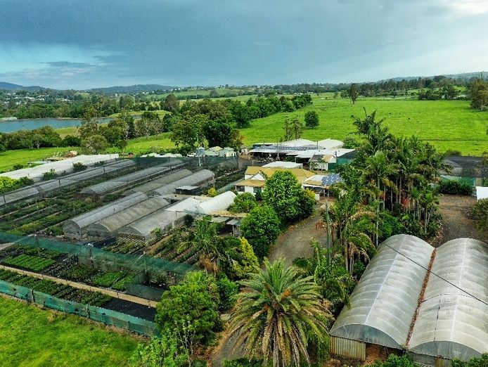 daleys-fruit-tree-nursery-1