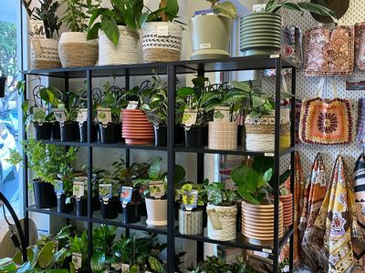 well-established-gift-shop-lifestyle-boutique-9