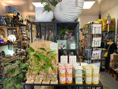 well-established-gift-shop-lifestyle-boutique-1