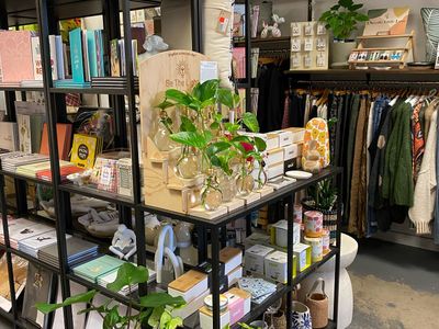 well-established-gift-shop-lifestyle-boutique-3