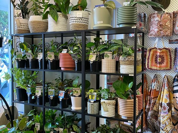 well-established-gift-shop-lifestyle-boutique-9