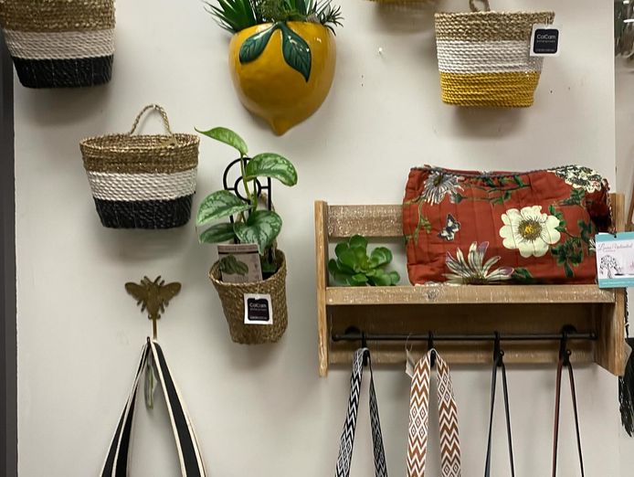 well-established-gift-shop-lifestyle-boutique-2