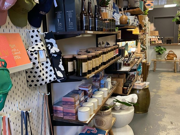 well-established-gift-shop-lifestyle-boutique-4