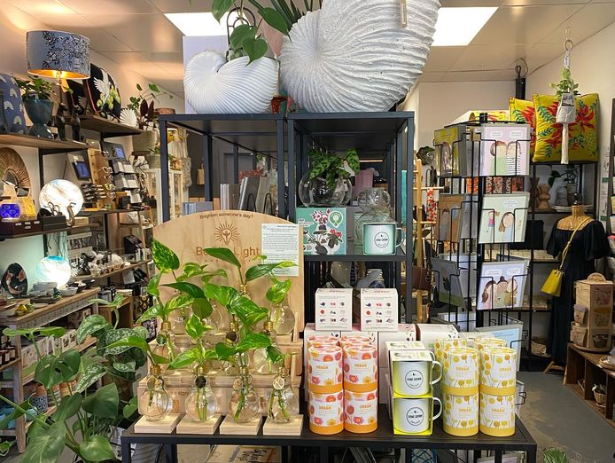 well-established-gift-shop-lifestyle-boutique-1
