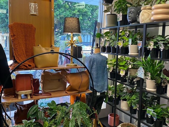 well-established-gift-shop-lifestyle-boutique-0