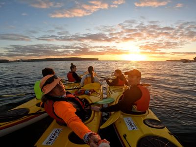 sydney-harbour-kayaks-iconic-sydney-harbour-tourism-business-1