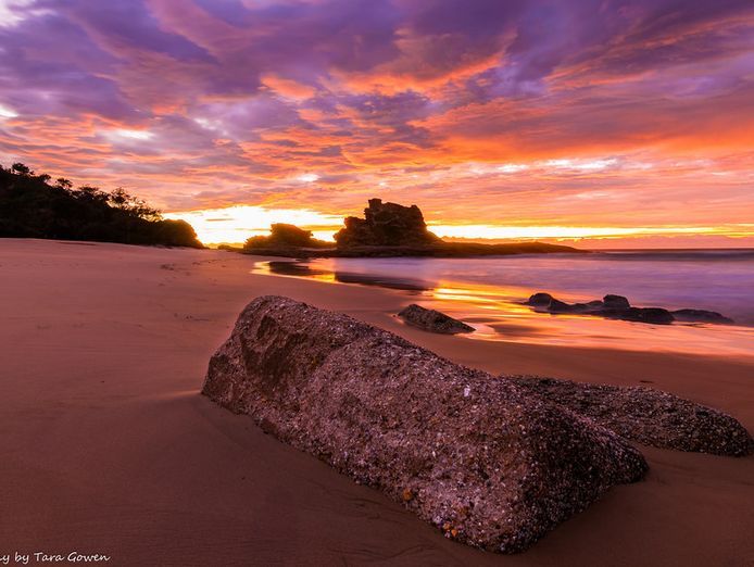 iconic-nambucca-heads-business-for-sale-4