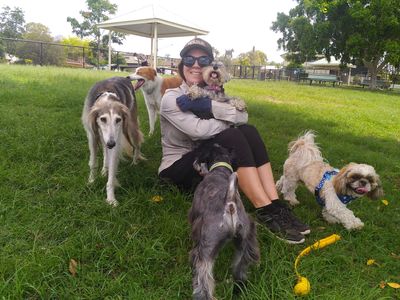 mad-dogs-englishmen-brisbane-dog-walking-doggy-daycare-service-5