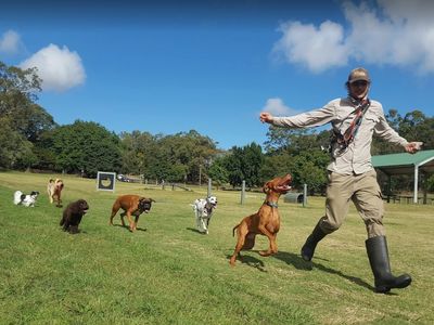 mad-dogs-englishmen-brisbane-dog-walking-doggy-daycare-service-4
