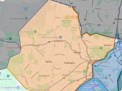 mad-dogs-englishmen-brisbane-dog-walking-doggy-daycare-service-2