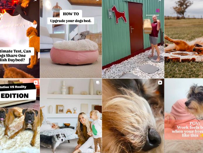 confidential-premium-pet-lifestyle-brand-asset-sale-0