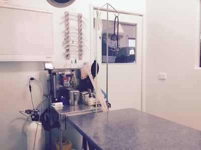 veterinary-clinic-for-sale-agnes-water-3