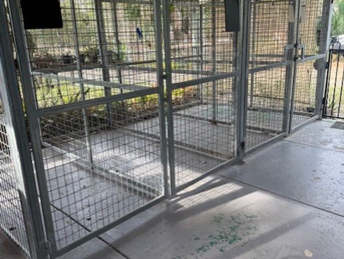 veterinary-clinic-for-sale-agnes-water-4