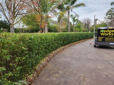 hedge-works-ringwood-franchise-business-for-sale-t-o-100k-p-a-and-growing-2