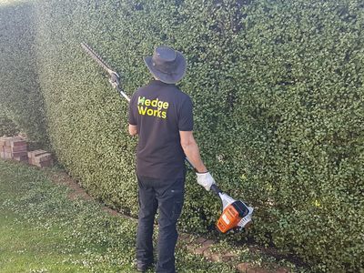 hedge-works-ringwood-franchise-business-for-sale-t-o-100k-p-a-and-growing-0