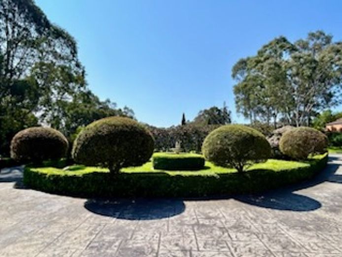 hedge-works-ringwood-franchise-business-for-sale-t-o-100k-p-a-and-growing-1