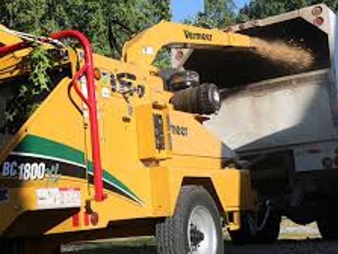 leading-profitable-tree-management-business-high-demand-in-brisbane-gold-coast-0