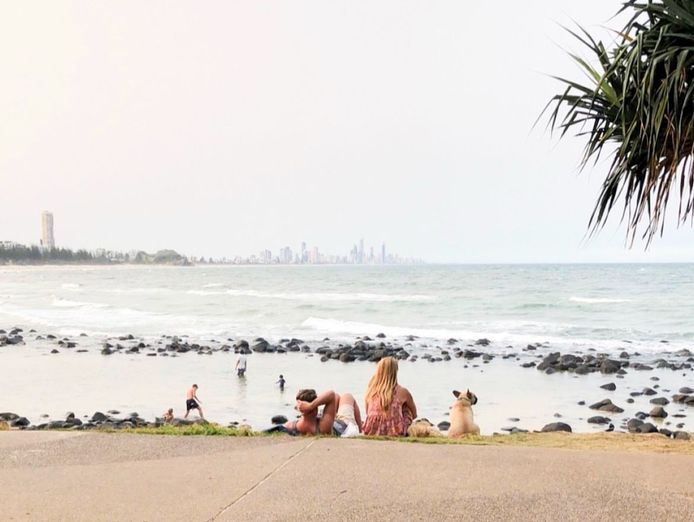 prime-business-opportunity-in-burleigh-heads-5