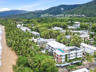 car-hire-business-for-sale-beachfront-palm-cove-8