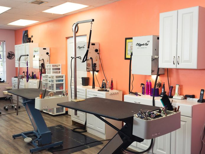 under-contract-beloved-dog-grooming-business-for-sale-brisbane-city-area-0