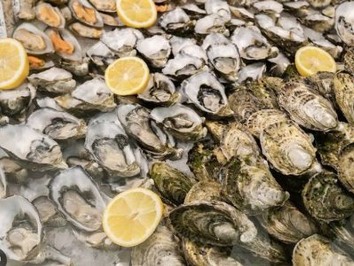seafood-retail-wholesale-business-with-2-locations-0