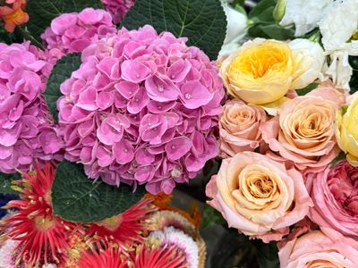 for-sale-successful-florist-business-in-the-stunning-tweed-valley-9