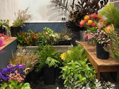 for-sale-successful-florist-business-in-the-stunning-tweed-valley-1