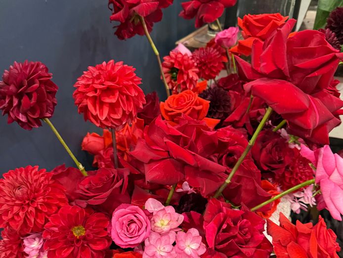 for-sale-successful-florist-business-in-the-stunning-tweed-valley-0