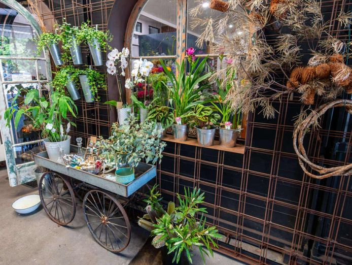 for-sale-successful-florist-business-in-the-stunning-tweed-valley-4