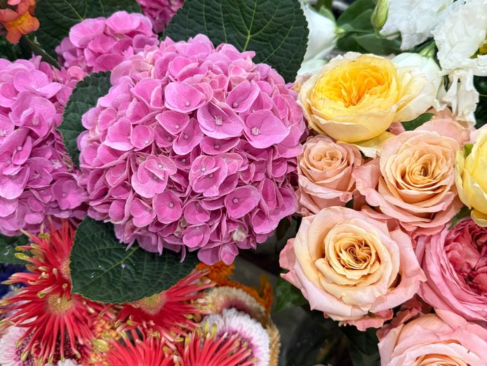 for-sale-successful-florist-business-in-the-stunning-tweed-valley-9