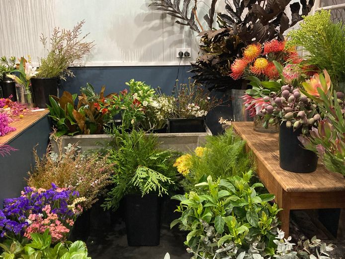 for-sale-successful-florist-business-in-the-stunning-tweed-valley-1