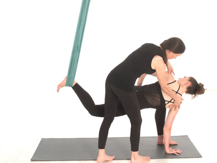 thriving-aerial-yoga-teacher-training-business-online-and-in-person-model-5