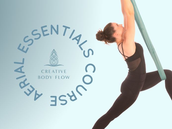 thriving-aerial-yoga-teacher-training-business-online-and-in-person-model-0