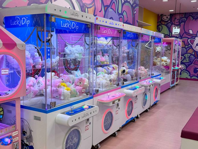 profitable-claw-machine-business-for-sale-amanda-arndale-only-50-000-4