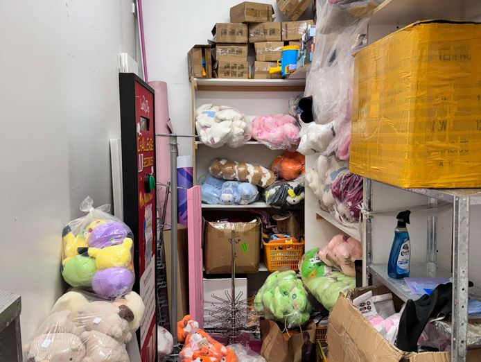 profitable-claw-machine-business-for-sale-amanda-arndale-only-50-000-6