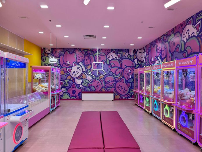 profitable-claw-machine-business-for-sale-amanda-arndale-only-50-000-0