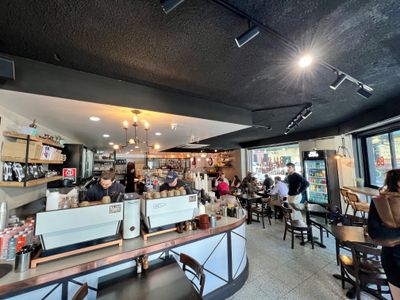 unique-cafe-for-sale-surry-hills-hotspot-7