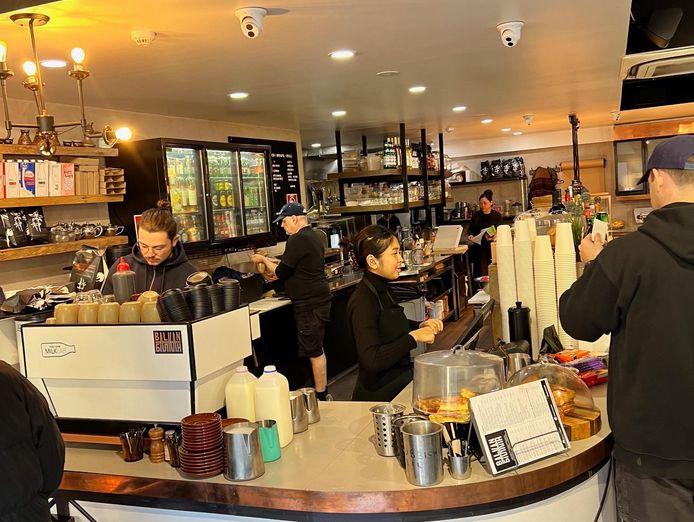 unique-cafe-for-sale-surry-hills-hotspot-5