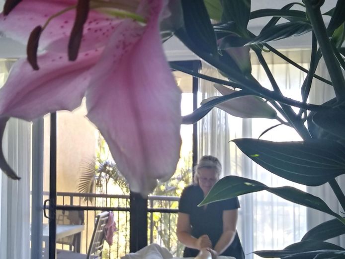 massage-business-for-sale-sunshine-coast-hinterland-3