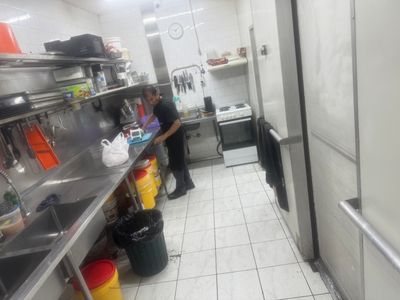 narellan-charcoal-chicken-for-sale-4