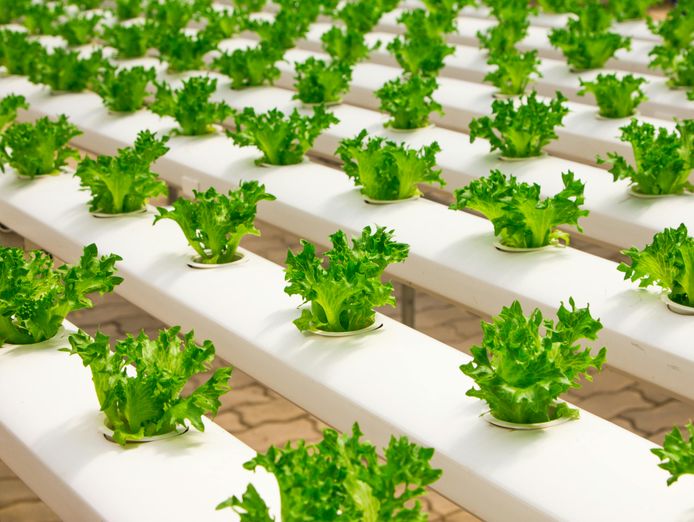 full-equiped-hydroponic-farm-equipment-0
